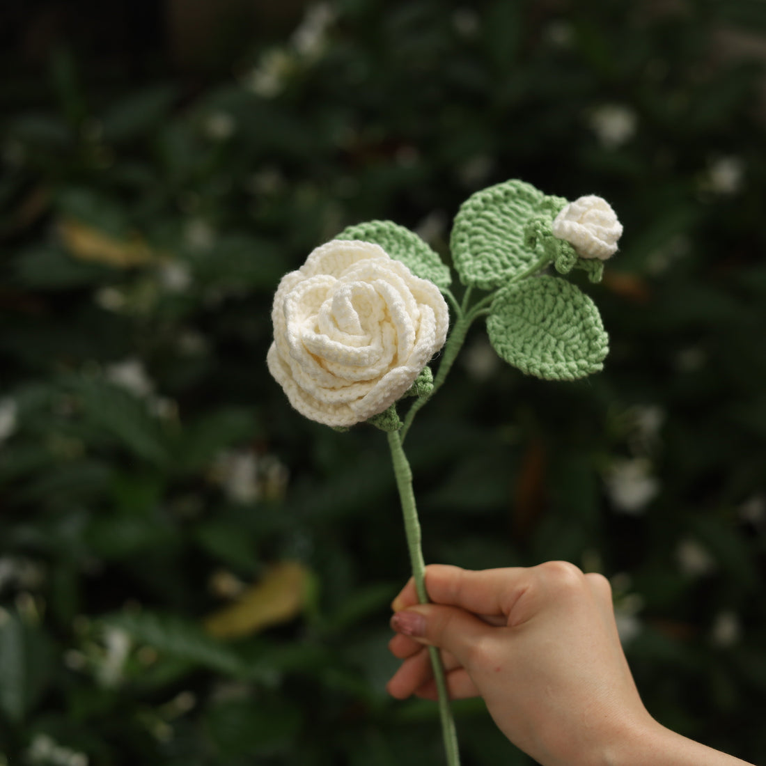 White Rose Flower Crochet Pattern